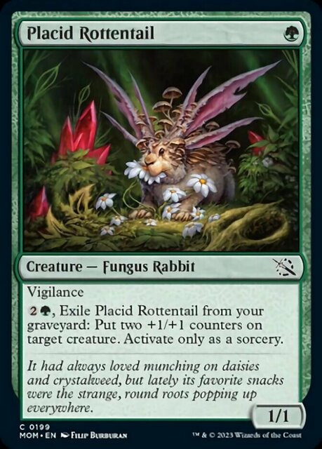 Placid Rottentail