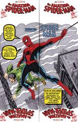 Df Amazing Spiderman Four Piece Haeser Sgn Sketch (STL267122)