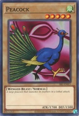 Peacock - SRL-EN011 - Common - Unlimited 25th Anniversary Edition