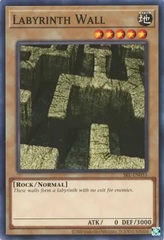 Labyrinth Wall - SRL-EN055 - Common - Unlimited 25th Anniversary Edition