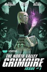 North Valley Grimore #1 (Of 6) Cvr D Rockwell (MR) (STL266585)