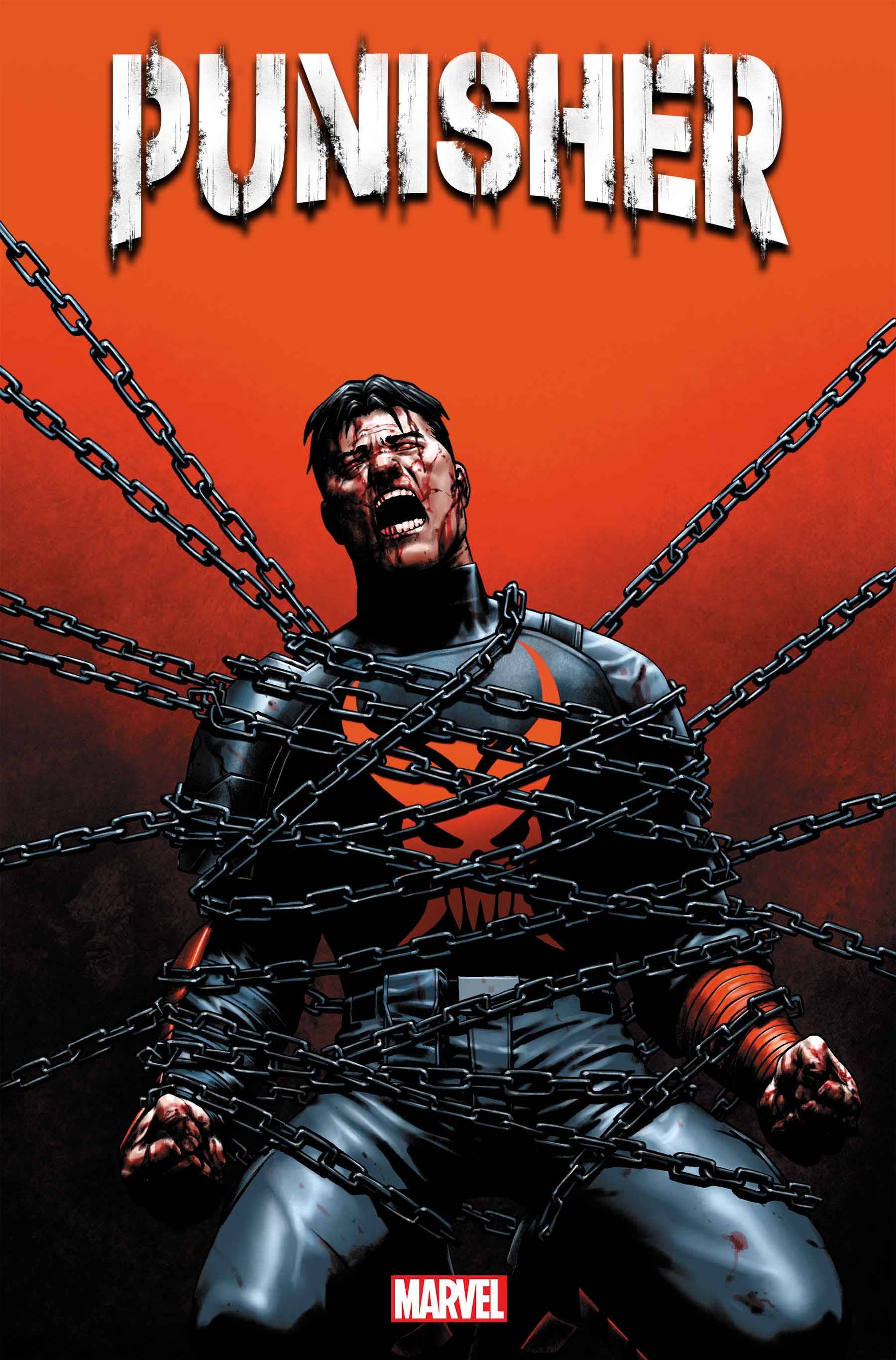Punisher #12 (STL265063)