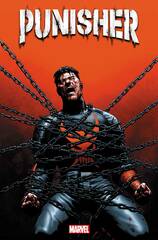 Punisher #12 (STL265063)