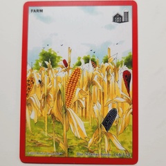 Farm 166/174 - 1st Edition