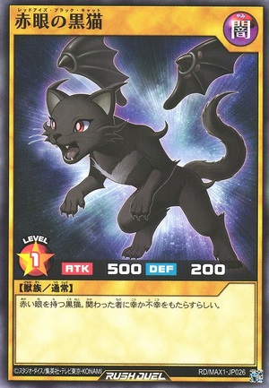 Red-Eyes Black Cat