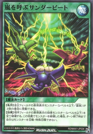 Thunderbeetle Storm