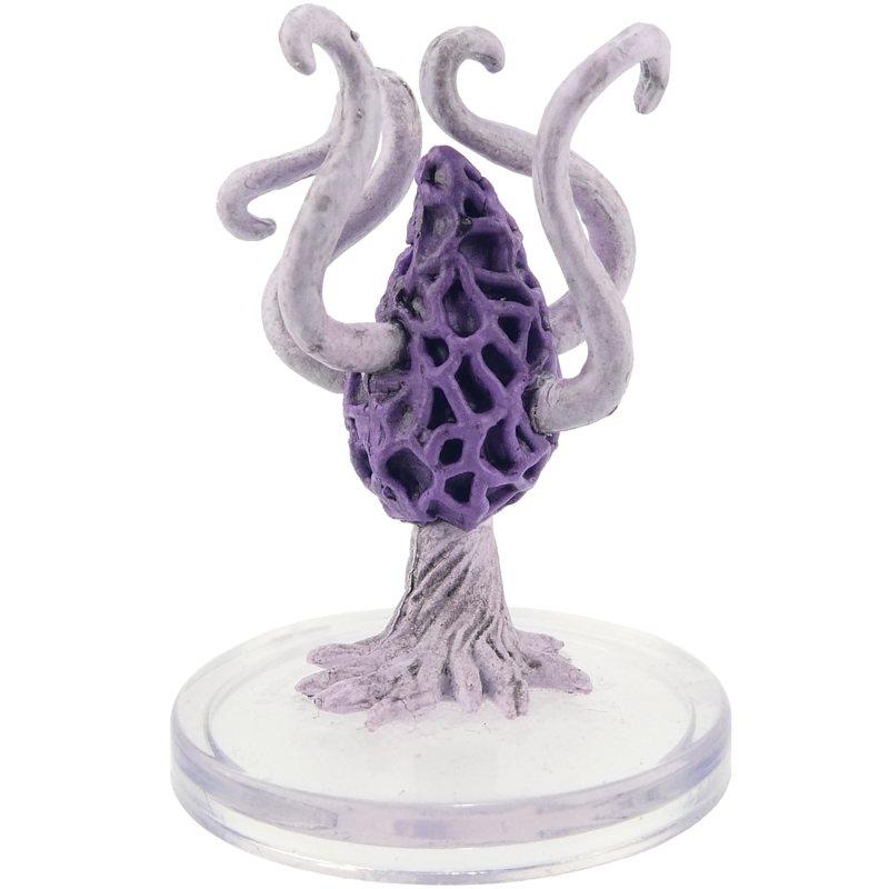 Violet Fungus