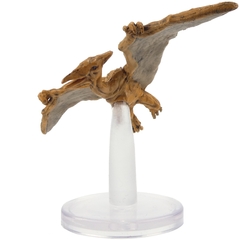 Pteranodon