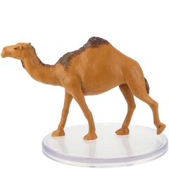 Camel