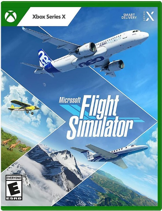 Flight Simulator Standard Edition