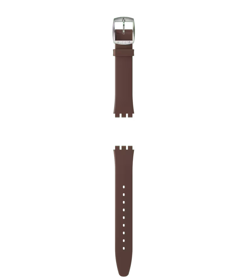 Swatch Skin Irony Brown Leather Strap - ACSYXS102