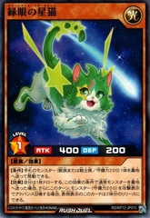 Green-Eyes Star Cat