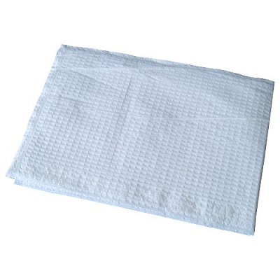 Disposable Pillow Cover
