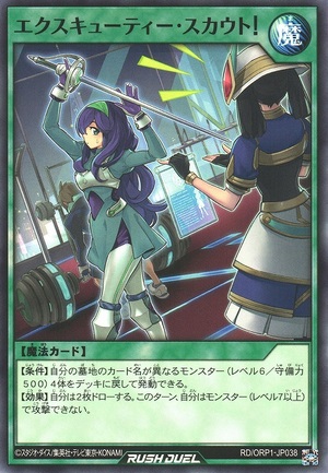 Excutie Scout!