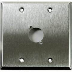 Whirlwind WP2/1H 2-Gang Wall Plate Punched for 1 Whirlwind/Switchcraft D3F Terminal (Stainless Steel Finish)