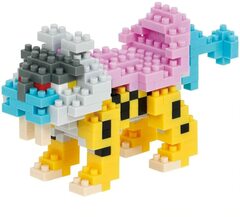 Pokemon Nanoblock - Raikou