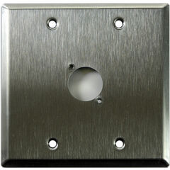 Whirlwind WP2/1NDH 2-Gang Wall Plate Punched for 1 Neutrik XLR Terminal (Stainless Steel Finish)