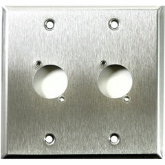 Whirlwind WP2/2H 2-Gang Wall Plate Punched for 2 Whirlwind/Switchcraft D3F Terminals (Stainless Steel Finish)