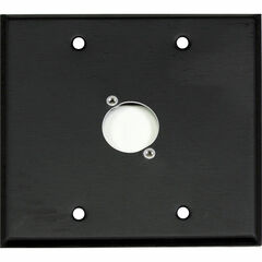 Whirlwind WP2B/1NDH 2-Gang Wall Plate Punched for 1 Neutrik XLR Terminal (Black Finish)