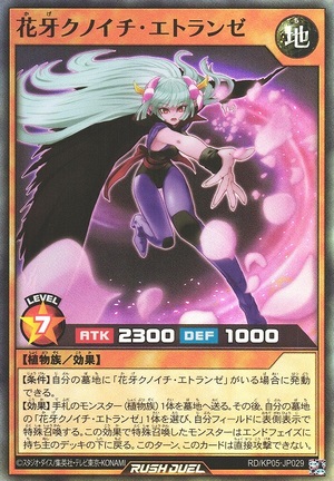 Etraynze the Shadow Flower Ninja