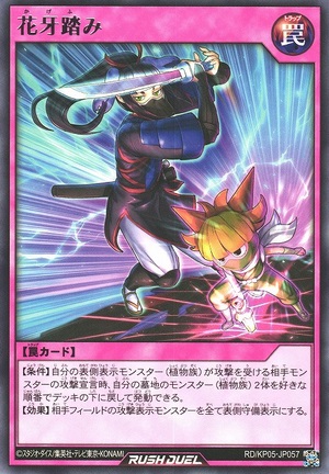 Shadow Flower Stance