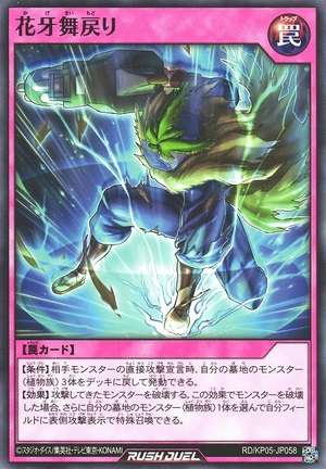 Shadow Flower Return