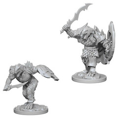 D&D Nolzur's Marvelous Miniatures: Male Dragonborn Fighter