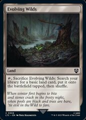 Evolving Wilds