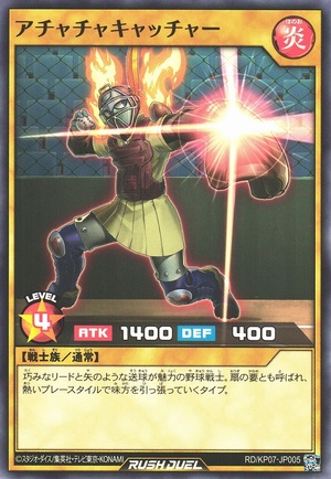 Achacha Catcher