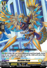 Incisive Crow - D-BT10/083EN - C