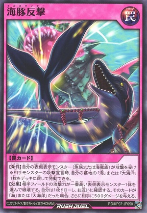 Dolphin Counterattack
