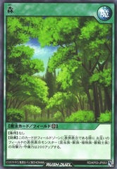 Forest (Rush Duel)