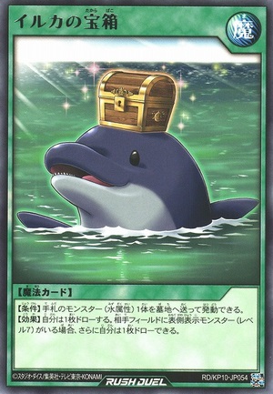 Dolphins Treasure Chest