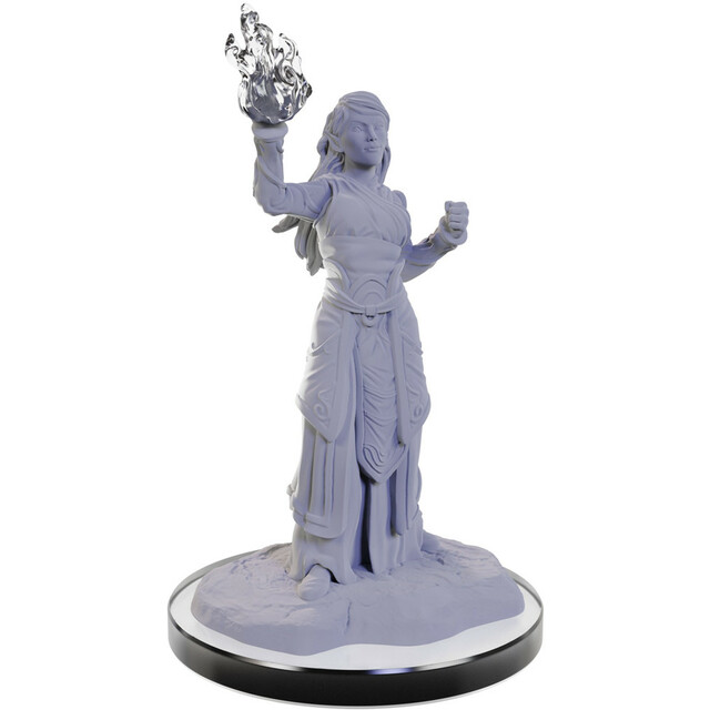 D&D Nolzurs Marvelous Miniatures: W22 Elf Wizards