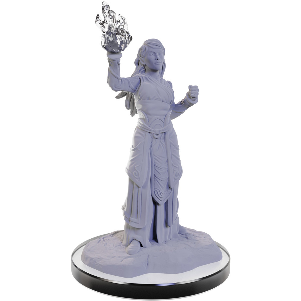 D&D Nolzurs Marvelous Miniatures: W22 Elf Wizards