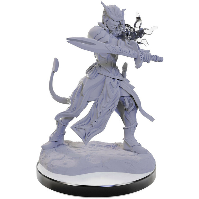 D&D Nolzurs Marvelous Miniatures: W22 Tiefling Warlocks