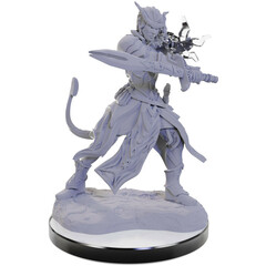 D&D Nolzur's Marvelous Miniatures: W22 Tiefling Warlocks