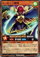 Harpie Ladies