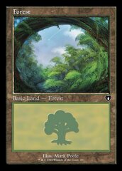 Forest (0451)  - Retro Frame