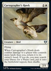 Cartographer's Hawk - Foil