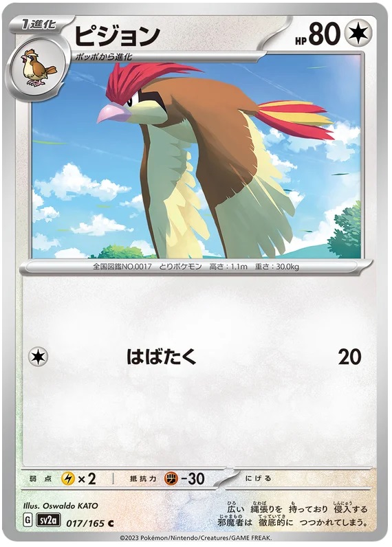 Pidgeotto - 17/165 - Common