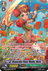 Ranunculus Flower Maiden, Ahsha - D-PV01/SP28EN - SP