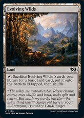 Evolving Wilds