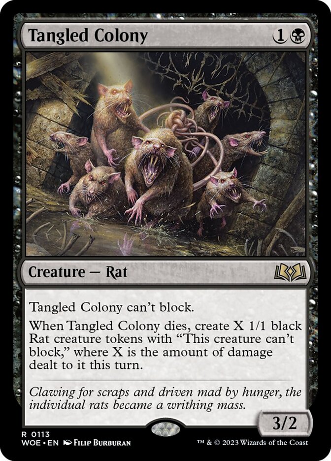 Tangled Colony