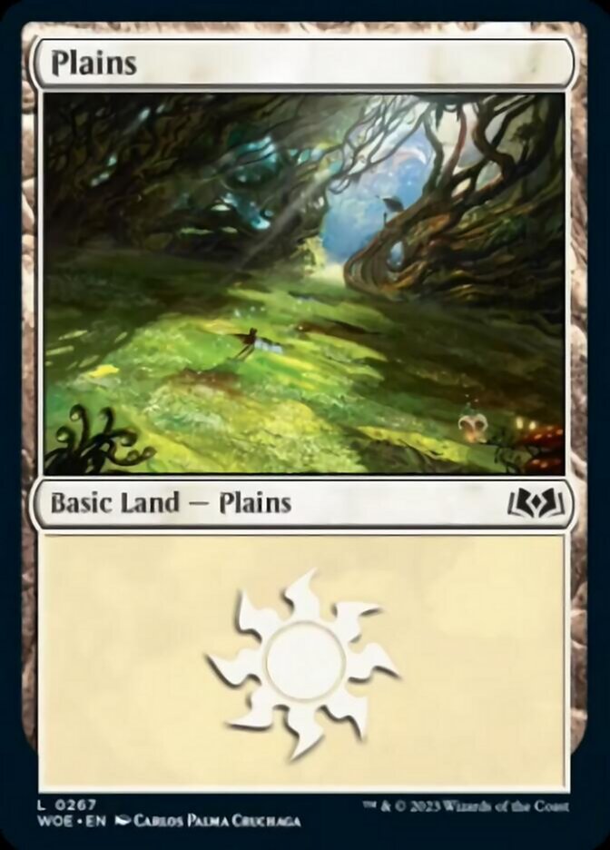 Plains (0267)