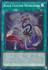 Black Feather Whirlwind - MP23-EN195 - Common - 1st Edition