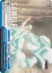 Male Floor Guardians Break - OVL/S99-E100 - CC