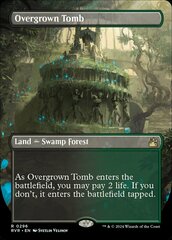 Overgrown Tomb (0296) (Borderless)