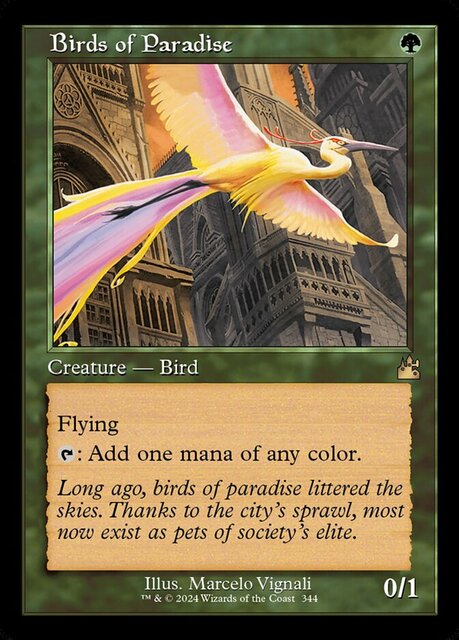 Birds of Paradise - Retro Frame