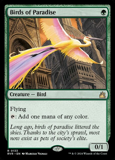 Birds of Paradise - Foil